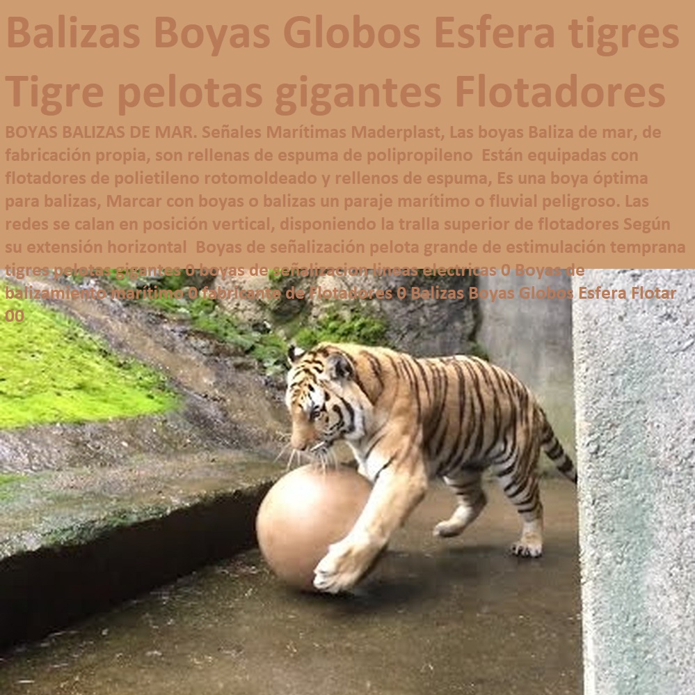 Pelotas Grandes Para animales Bolas Pelotas Gigante Para Tigres 0, Diseñadores, Decoradores, Creadores, Inventores, Desarrolladores, Proyectistas, Artistas, Nuevos Proyectos, Nuevos Productos, Nuevos Modelos, Nuevos Materiales, Nuevas Tecnologías, Diseños Especiales, En Maderplast Hacemos Hasta Alas De Avión, Lo Que Su Imaginación Quiera Hacer, Hágalo Ya, Hágalo Con Maderplast, Pelotas Gigantes Inflables 0, nuevos diseños de Globo Grande Para tigres 0, Pelota Grande Para Ejercicios 0, nuevos diseños Pelota Gigante tigres Pelotas Grandes Para animales Bolas Pelotas Gigante Para Tigres 0, Pelotas Gigantes Inflables 0, nuevos diseños de Globo Grande Para tigres 0, Pelota Grande Para Ejercicios 0, nuevos diseños Pelota Gigante tigres